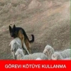 dünya sevişme günü türkiye de neden kutlanmıyor / #1072384