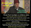 necip fazıl ı anlatsam lağım patladı zannedersiniz / #2438042