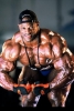 ronnie coleman