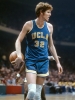 bill walton