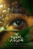 the animal kingdom / #2349250