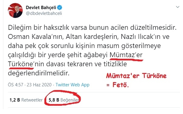 ülkücüler