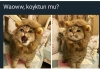 örümcek korktun mu yılan korktun mu korkmadın mı / #1612677