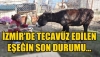 öşşeği dinleme hewal resim 3