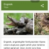 türkiye nin en gerekli insanları / #1185507