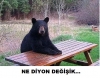 bir insana bağımlı olmak / #1281341