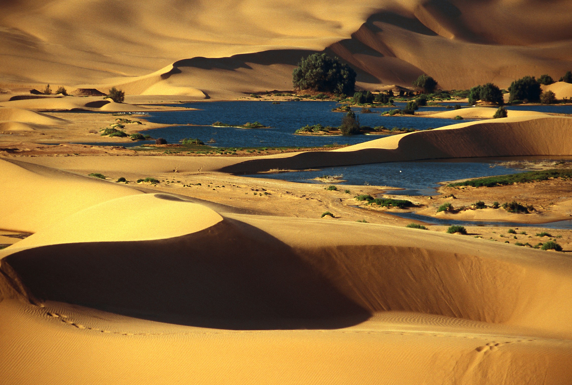 Реки пустыни россии. Пустыня сахара Оазис. Сахара Марокко Оазис. Озера Убари Ливия. Оазис Убари Ливия.