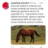 çorlu da ata tecavüz eden adam / #1600336