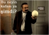 halifelik erdoğan hanedanının hakkıdır / #1066524