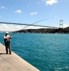 bir erkeğin iliklerini sömürmenin verdiği zevk / #1716831