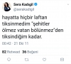 chp pm üyesi sera kadıgil in nefret içeren tweeti