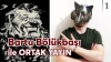 bartu bölükbaşı / #2268594