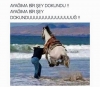 bi fotoğraf atayım da eksi alayım / #1172241