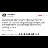 camı açınca efendi gibi gitmeyen sinek / #1488997