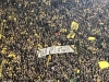 borussia dortmund taraftarı / #1649768