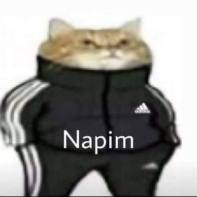 pardonadinizasizmi