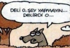 vefik