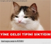 yatalak babama bakmak zorunda mıyım / #1123088