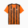 puma / #2433885