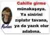 sanal alemden öğrendiklerim / #1532011