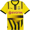 borussia dortmund formaları