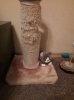 evde kedi beslemenin püf noktaları / #1344599
