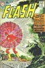 the flash / #1169070