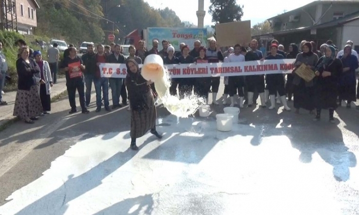 trabzon tonya da sütlerini yola döken üreticiler