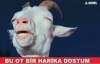 türkiye nin suriye yi fethetmesi / #1282613