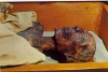 pasaport sahibi ilk firavun ikinci ramses / #1955390