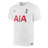 tottenham hotspur