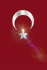 türk karşıtı sefiller / #1611196