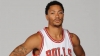 derrick rose / #1482552