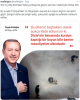 mahir akkoyun dan yeni tasarımlar / #2300004