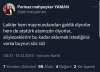 perinaz mahpeyker