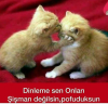 korku filminde en önce ölen şişko eleman / #1648208