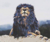 aslan