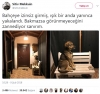 köpek / #1634258