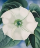 georgia o keeffe