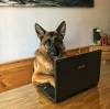 eğildiğinde memeleri açılan kadın / #1611406