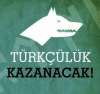 türkçülük kazanacak / #1428181