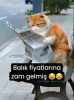 fiyatların giderek yükselmesi