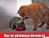 seni bir ben yalarım bir de himalayalar / #1205432