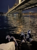 seninle şöyle olabilirdik / #2322031