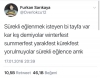 sürekli gezeyim tozayım insanları / #1779236