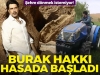 burak hakkı / #2264609