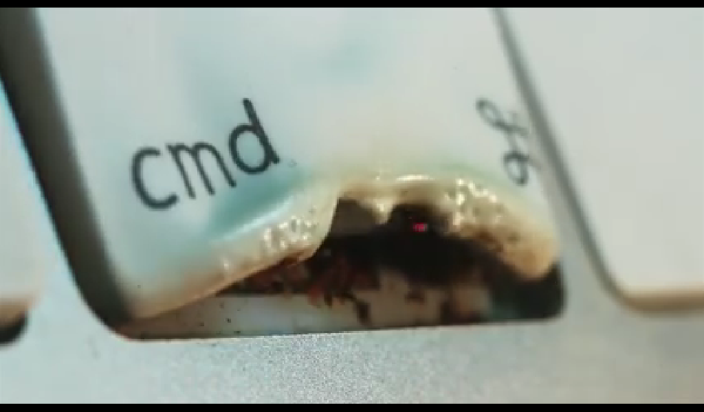 cmd