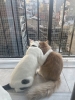 seninle şöyle olabilirdik / #2336050