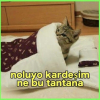 true nin kadın olma olasılığı