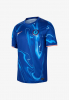 chelsea fc